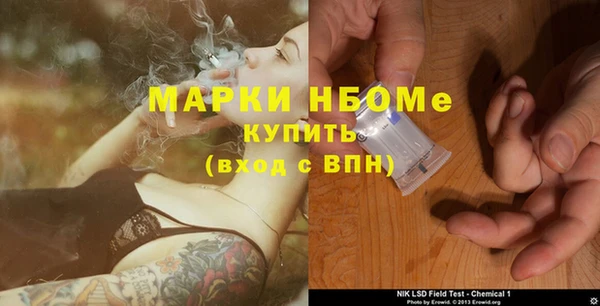 крисы Мегион