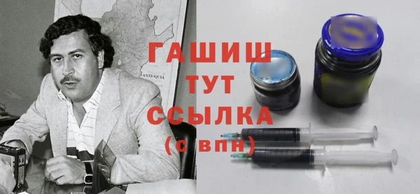 крисы Мегион