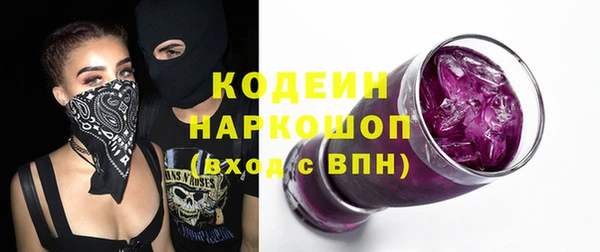 крисы Мегион