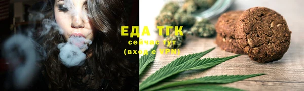 крисы Мегион