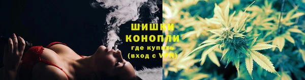 крисы Мегион