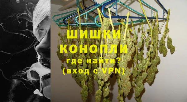 крисы Мегион