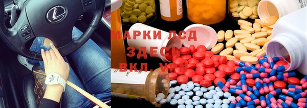 крисы Мегион